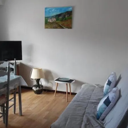 Confortable F2 Avec Terrasse Et Parking, Proche Des Cures Et Du Centre-ville D'amelie-les-bains - Fr-1-703-111 Apartamento