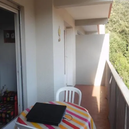 Confortable F2 Avec Terrasse Et Parking, Proche Des Cures Et Du Centre-ville D'amelie-les-bains - Fr-1-703-111