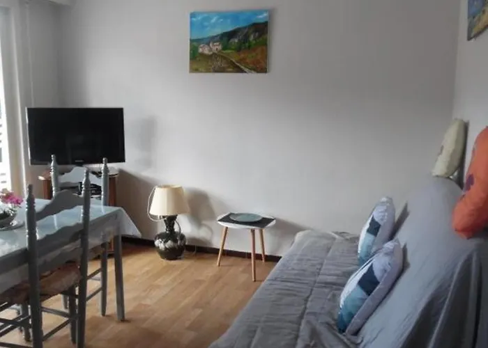 Confortable F2 Avec Terrasse Et Parking, Proche Des Cures Et Du Centre-ville D'amelie-les-bains - Fr-1-703-111 Апартаменты