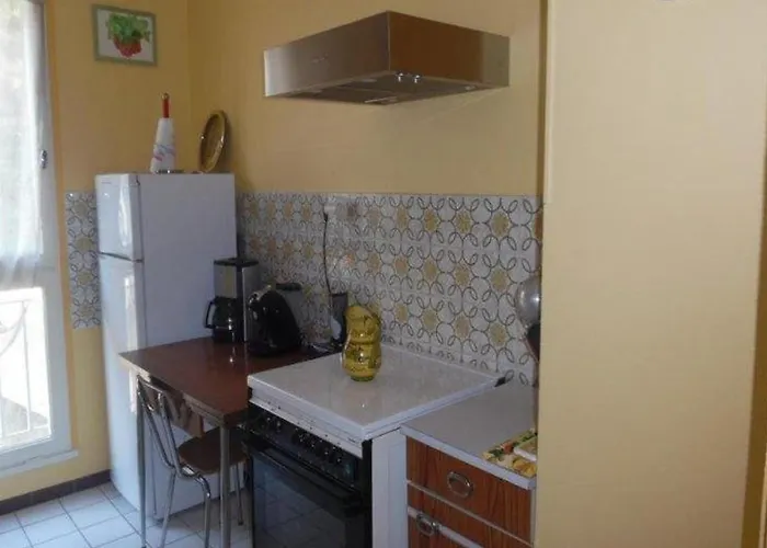 Апартаменты Confortable F2 Avec Terrasse Et Parking, Proche Des Cures Et Du Centre-ville D'amelie-les-bains - Fr-1-703-111 Амели-ле-Бен-Палальда